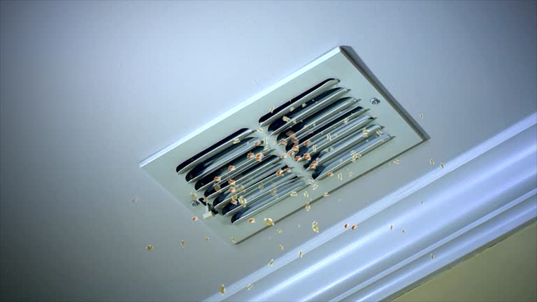 Best HVAC System Cleaning  in East Berwick, PA